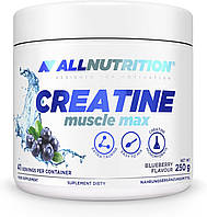 Креатин AllNutrition Creatine Muscle Max 250 g (Blackcurrant)