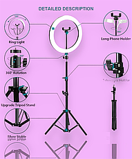 Світлодіодна кільцева лампа Ring Fill Light QX-300 30 см + штатив 2м Набір блогера, фото 2