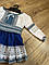 Святкова дитяча етно сукня, сукня вишиванка для дівчинки, фото 8