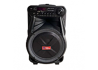 Колонка акумуляторная Sky Sound SS-7171 12 дюймов 600W