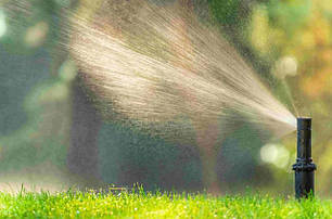 ДАЧА, САД, ГОРОД