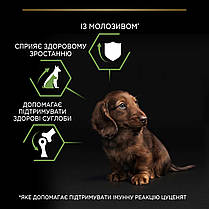 Сухий корм для цуценят Pro Plan Small&Mini Puppy Healthy Start для малих порід з куркою 7 кг, фото 5
