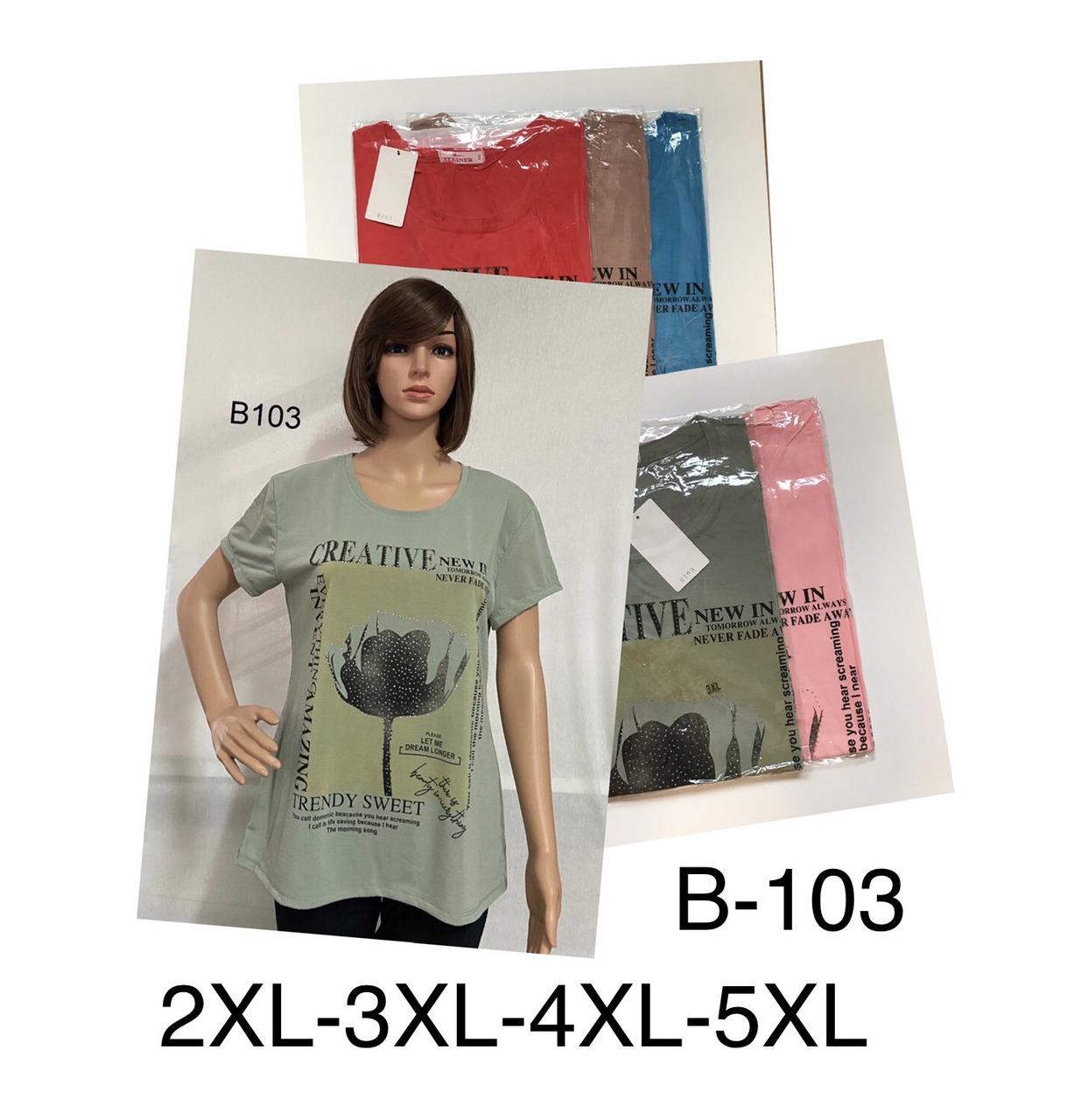 Жіноча футболка бавовна розмір норма 2XL-5XL Мікс колір (від 10 шт.)