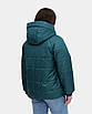 Жіночі демісезонні куртки великих розмірів 50-60 смарагд, фото 3