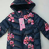 Куртка на дівчинку NATURE.