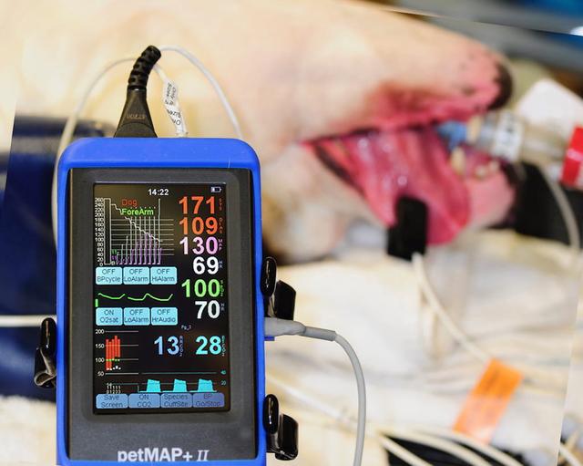 Ветеринарный монитор petMAP +II ( 7457 ) NIBP, HR, Temp, SpO2