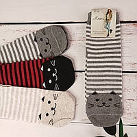 Шкарпетки жіночі класичні Косми Котик, 23-25 (38-40 по обуви),12 пар