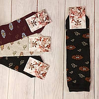 Шкарпетки жіночі класичні Косми Ромашки, 23-25 (38-40 по обуви),12 пар