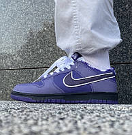 Мужские кроссовки Nike SB Dunk Low "Purple Lobster" весна осень демисезонные фиолетовые. Живое фото. Найк данк