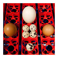 Інкубатор - 49 яєць - повністю автоматичний