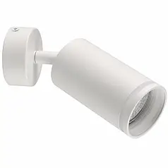 Світильник стельовий Goldlux спот PARIS GU10 IP20 322272