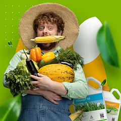 Регулятор росту