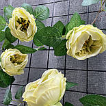Ліана плетуча троянда Остін Люкс салатна 280 см, фото 4