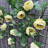 Ліана плетуча троянда Остін Люкс салатна 280 см, фото 3