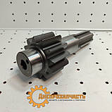 Шестірня Т-40 провідна кінцевої передачі заднього моста, фото 2