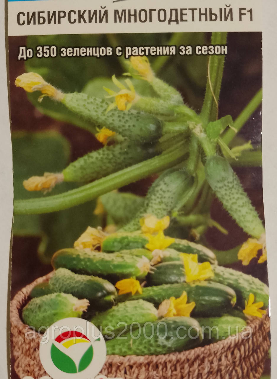 Насіння Огірок самозапильний Сибірський Багатодітний F1, 7 насінин