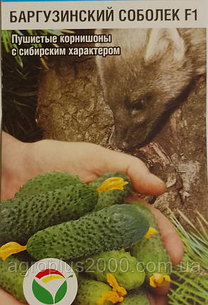 Огірок самозапильний Баргузинський собольок F1, 7 насінин, фото 1