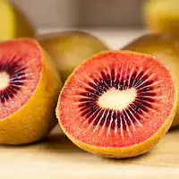 САЖЕНЦЫ КИВИ ZESPRI RED (КРАСНОМЯСЫЙ) САМООПЫЛЯЮЩИЙСЯ, КРУПНОПЛОДНЫЙ, МОРОЗОСТОЙКИЙ