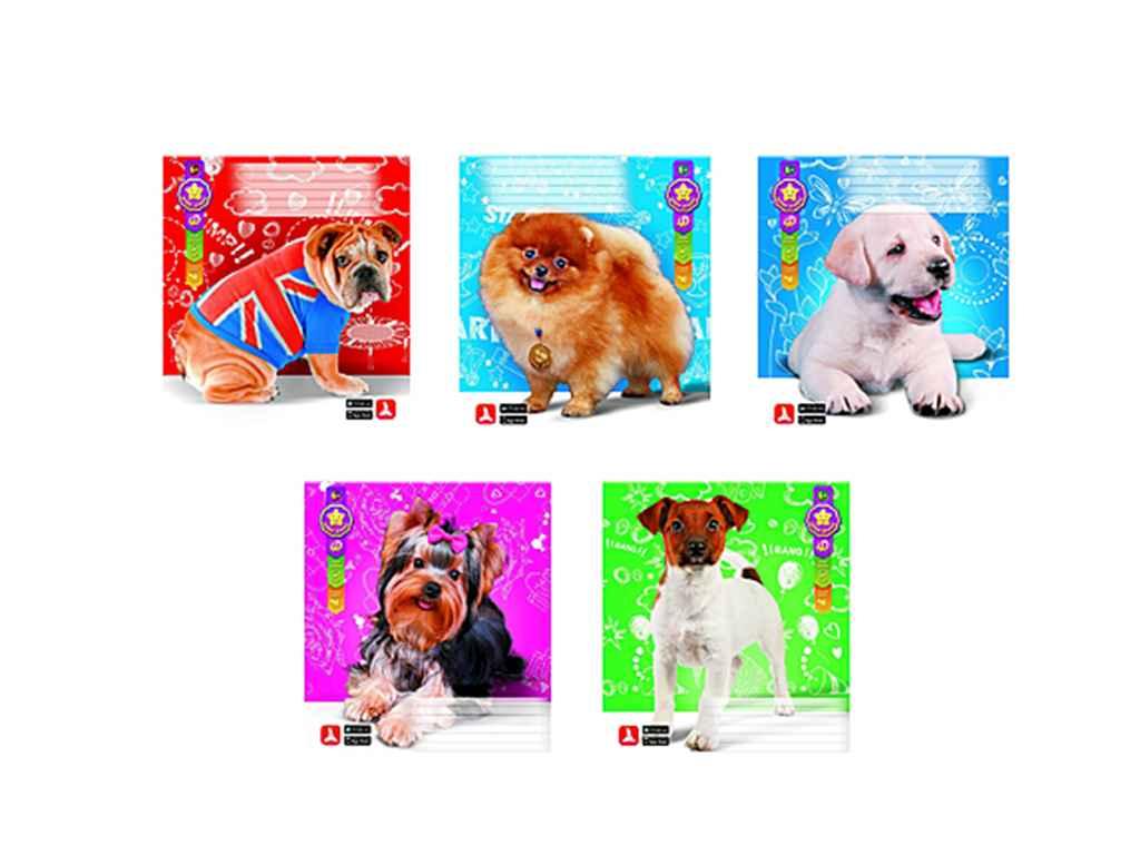 Зошит в лінію 24арк. 20шт/уп ТВ-49/4D №5001_Dogs ТМ Gold Brisk