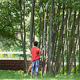 Висоторіз садовий телескопічний 2 в 1: Штанга 1,5 - 3 м + Ножівка з гаком, фото 7