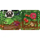 Хто живе на фермі? Зазирни у віконечко. Автор Джей Ґарнетт, фото 3