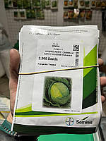 Капуста РІНДА F1 | RINDA F1 Seminis