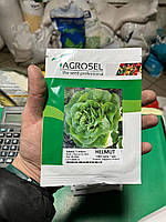 Насіння салату Гельмут - 1000 шт