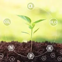 Набори сезонного підживлення рослин добривами