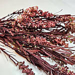 Гілочка латаття бордо 20-23 см, фото 2