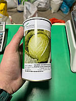 Насіння капусти Роем ван Енкхейзен 2 - 25 000 шт