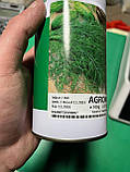Насіння кропу Агромар - 100г, фото 2