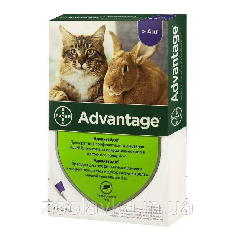 Advantage (Адвантейж) краплі від бліх і кліщів для кота вага 4-8 кг, 1 шт., фото 1