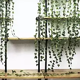 Штучний плющ - гірлянда , лоза 12,6 м Gardlov 19733 Польща, фото 7