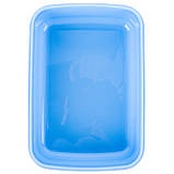 Ланчбокс Kite Studio Pets SP24-160-2, 420 мл, фото 4