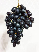 Виноград "Алвика" (крупная ягода,ранне-средний)