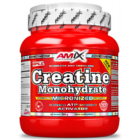 Amix Creatine Monohydrate креатин моногідрат у порошку 500 г