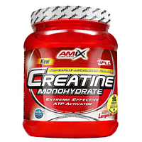 Amix Creatine Monohydrate креатин моногідрат 1000 г