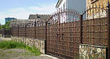Ковані ворота (метал + дерево або тільки метал) 250, фото 3
