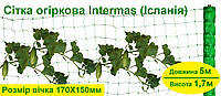 Сетка огуречная шпалерная, Intermas (Испания), ширина 1,7м, длина 5м