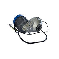 Мотор для дитячого електроквадроцикла Profi 1000Q2-Motor(797539245756)