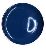 Тарелка обеденная Cesiro MNAG-6889-ucenka 26 см синяя (уценка) n