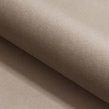 Стілець ALAN VELVET чорний каркас/темний беж BL.40, фото 3