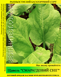Насіння щавлю "Смарагдовий Сніг" 500 г