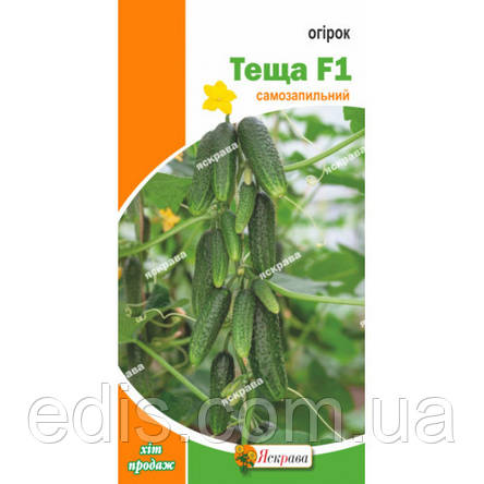 Огірок Теща F1 (букетний, самозапильний) F1 0,3 г, насіння Яскрава, фото 2