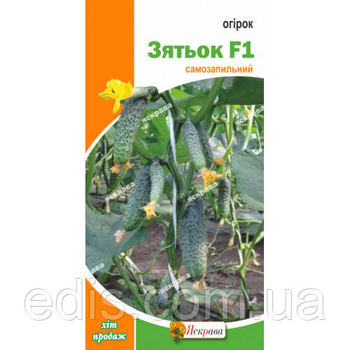 Огірок Зятьок F1 (букетний, самозапильний, корнішон) F1 0,3 г, насіння Яскрава