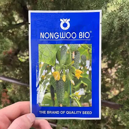 Насіння огірка Арктика F1 (Arctic F1) NongWoo Bio 500, фото 1