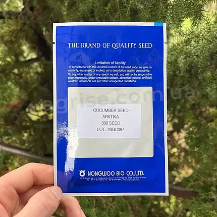 Насіння огірка Арктика F1 (Arctic F1) NongWoo Bio 500, фото 2