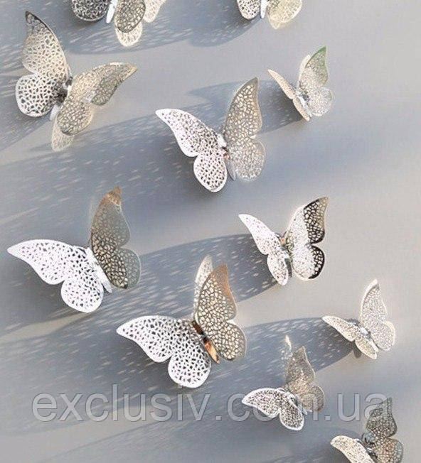 Сріблясті 3Д метелика сіточкою