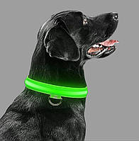 Светящийся LED ошейник, поводок для животных собак и кошек зеленый