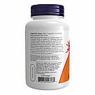 Ascorbyl Palmitate 500 mg - 100 vcaps, фото 4